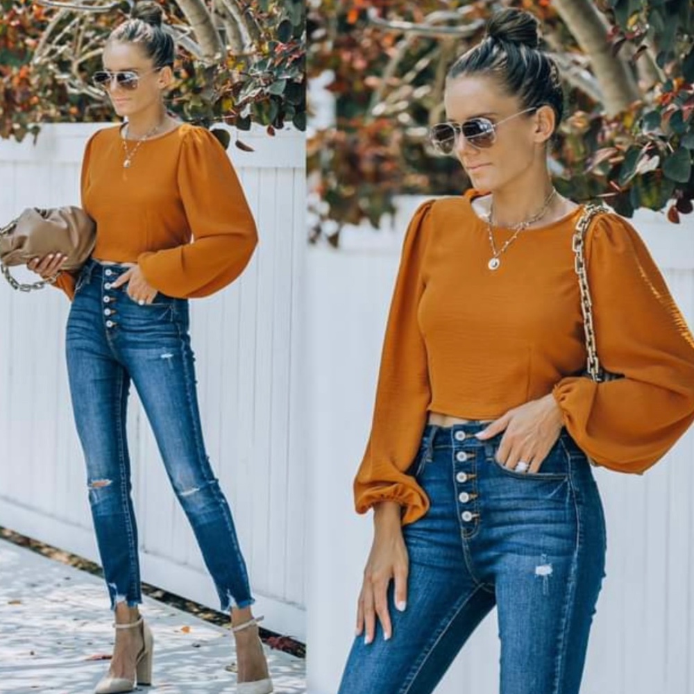 Vici Joyce Billowed Sleeve Crop Blouse - Camel color